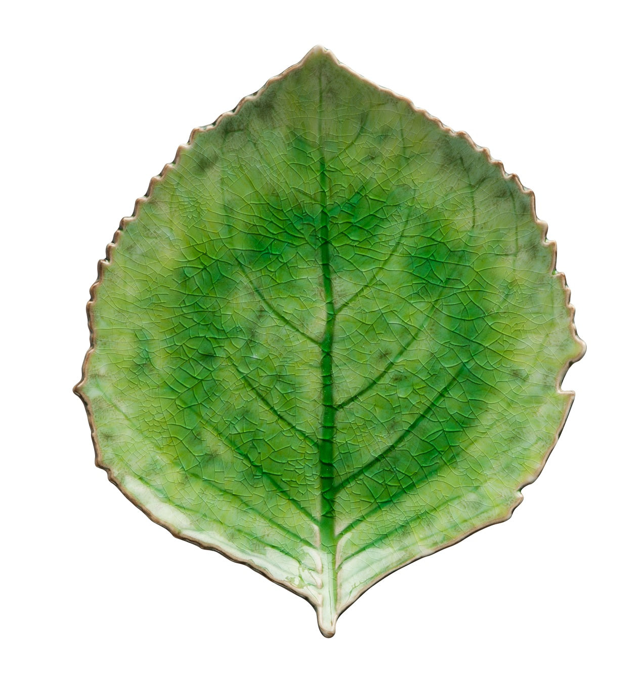 Riviera Tomate Hydrangea Leaf