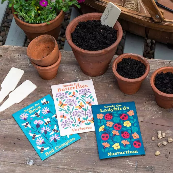 Pack of Flower Seeds for Ladybirds - Nasturtium