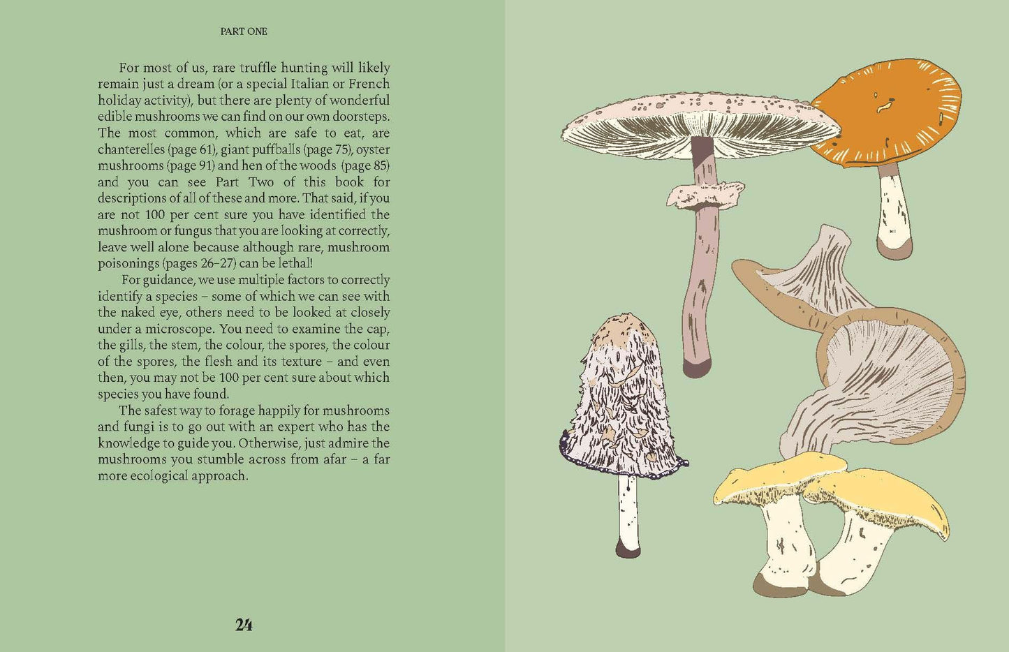 Mushrooms: A Guide for the Curious