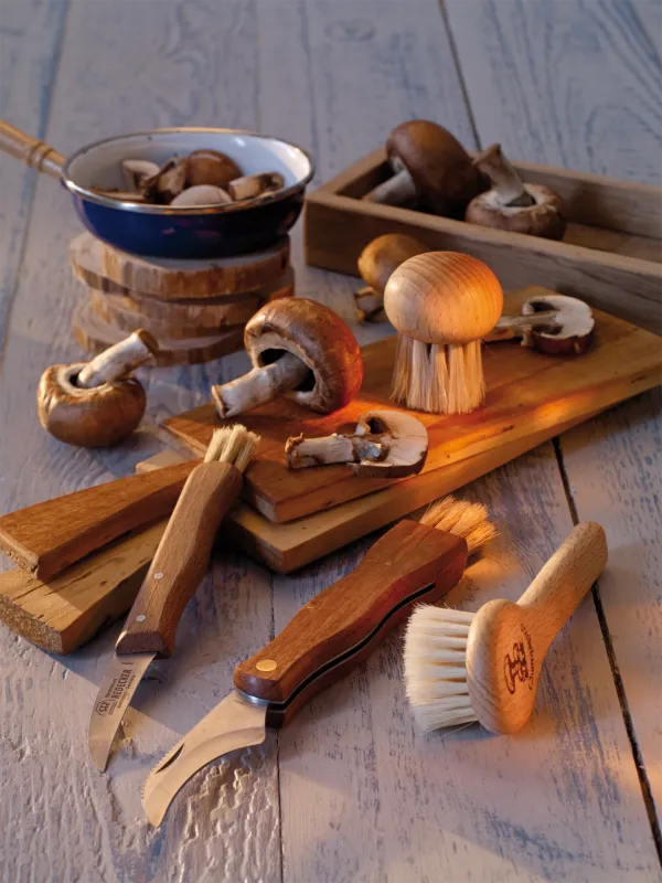 Mushroom Brush - Round