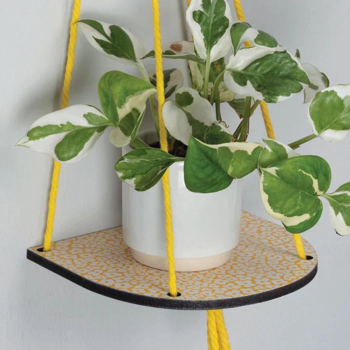 Hanging Plant Shelf (Small) Forget Me Not Yellow