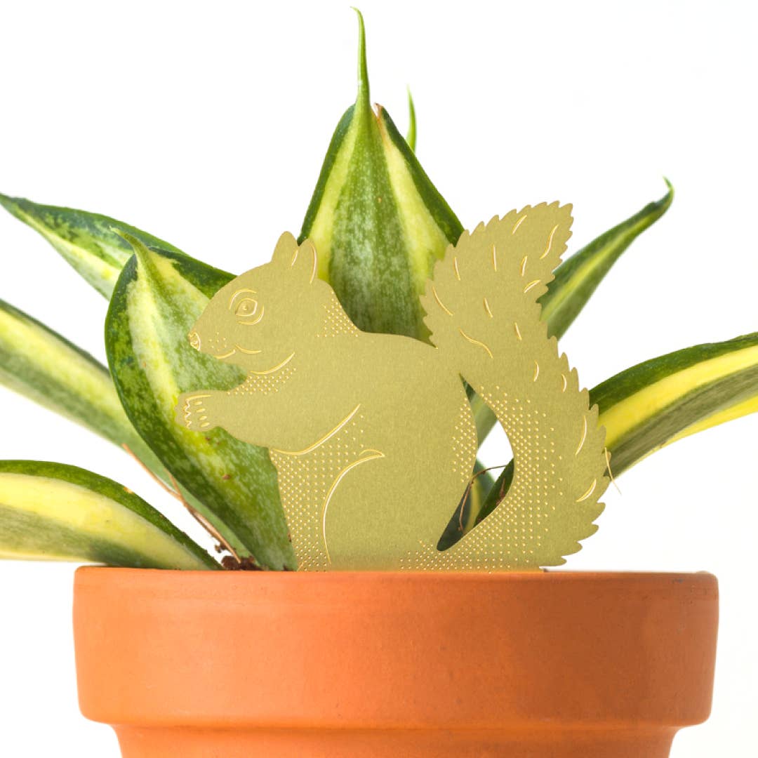 Plant Animals - Squirrel