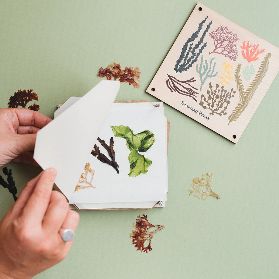 Seaweed Press Kit