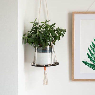 Hanging Plant Shelf - Abstract