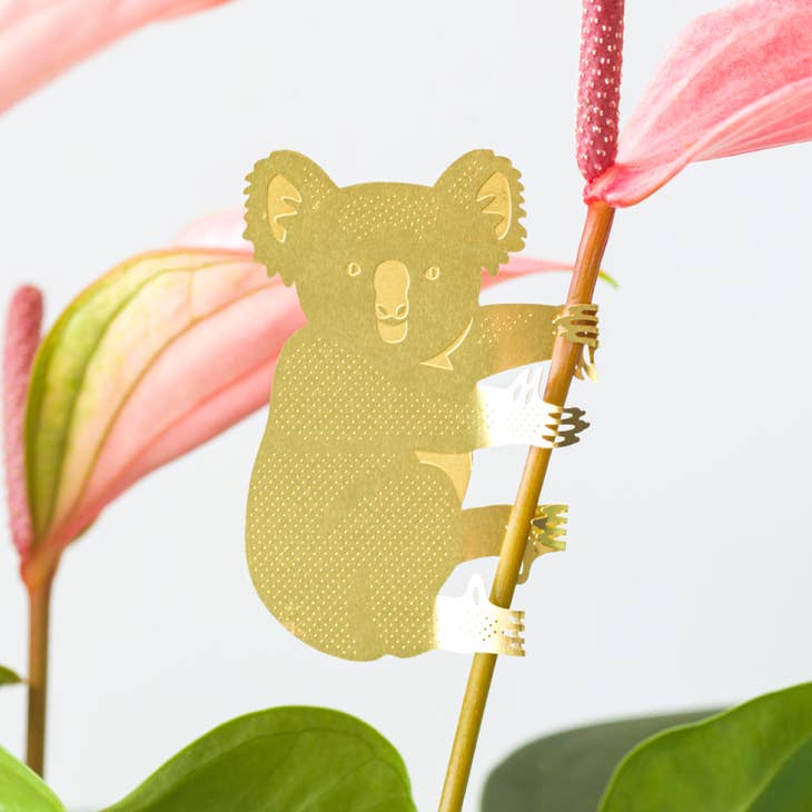 Plant animal Koala Bear