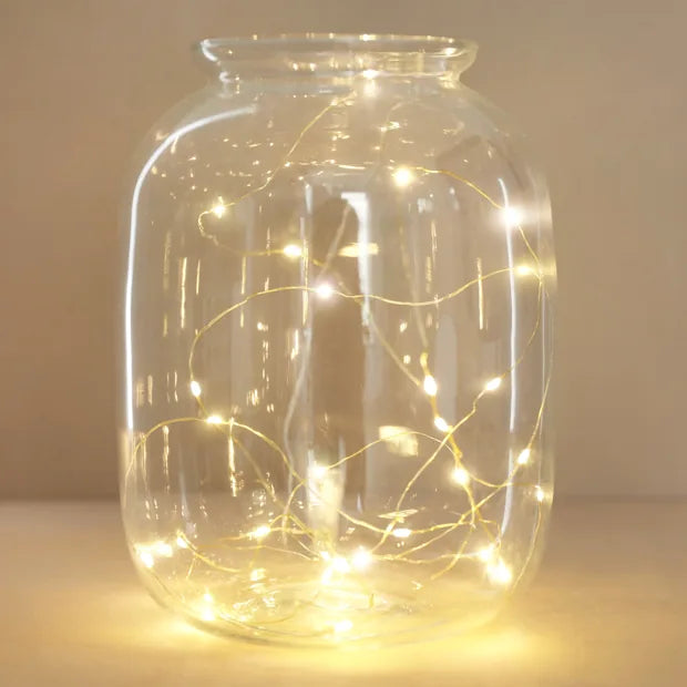 30 LED Silver Wire String Lights