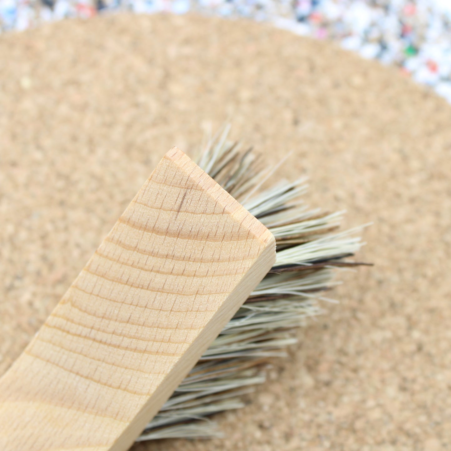 Dish Brush with Scraping Edge