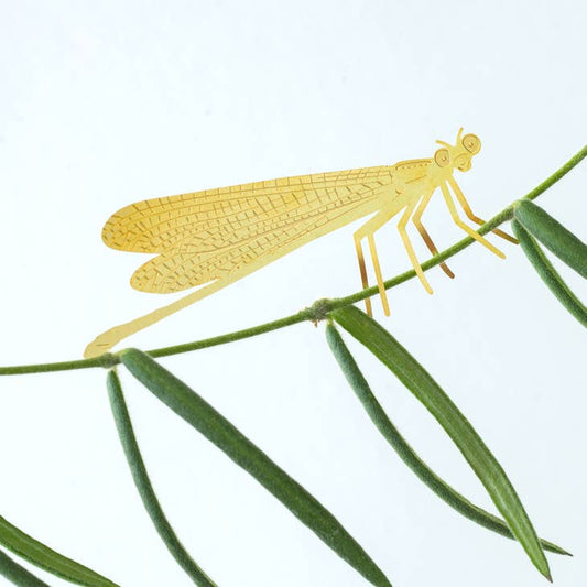 Plant animal Damslefly