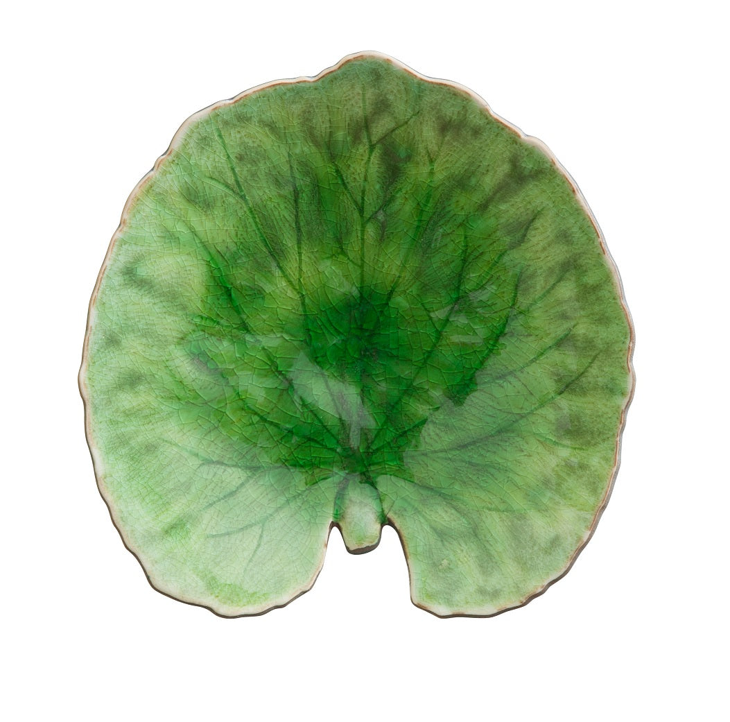 Riviera Tomate Alchemille Leaf