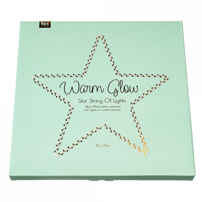 Metal star LED light - 30cm