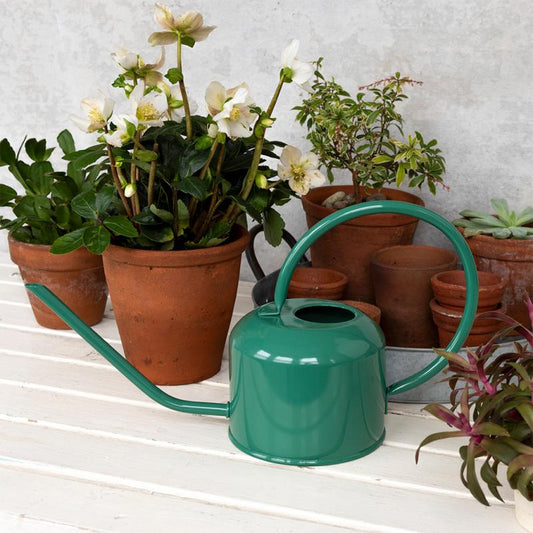 1Ltr Metal Watering Can - Dark Green