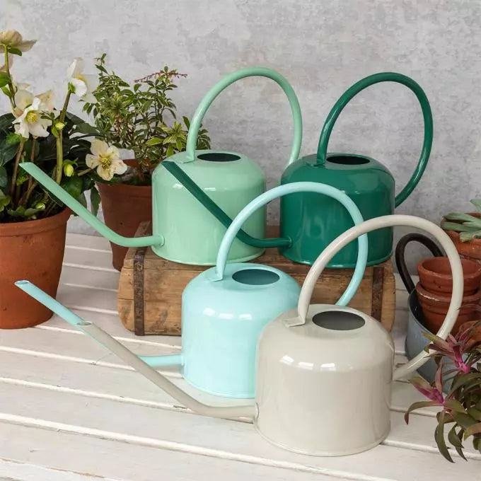 1Ltr Metal Watering Can - Pistachio