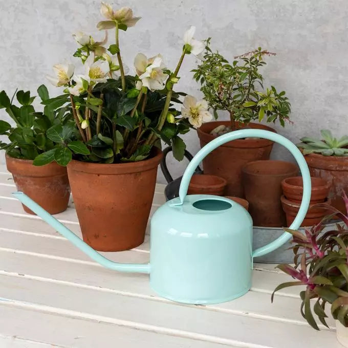 1Ltr Metal Watering Can - Sky Blue