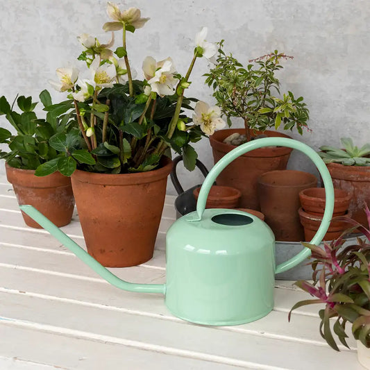 1Ltr Metal Watering Can - Pistachio