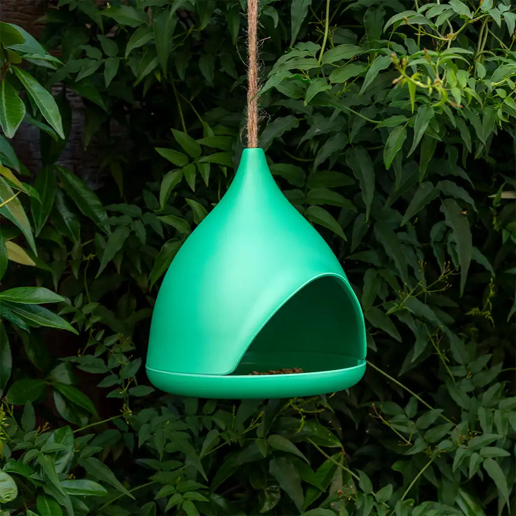 Bamboo Fibre birdhouse