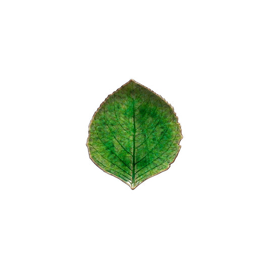 Riviera Tomate Hydrangea Leaf