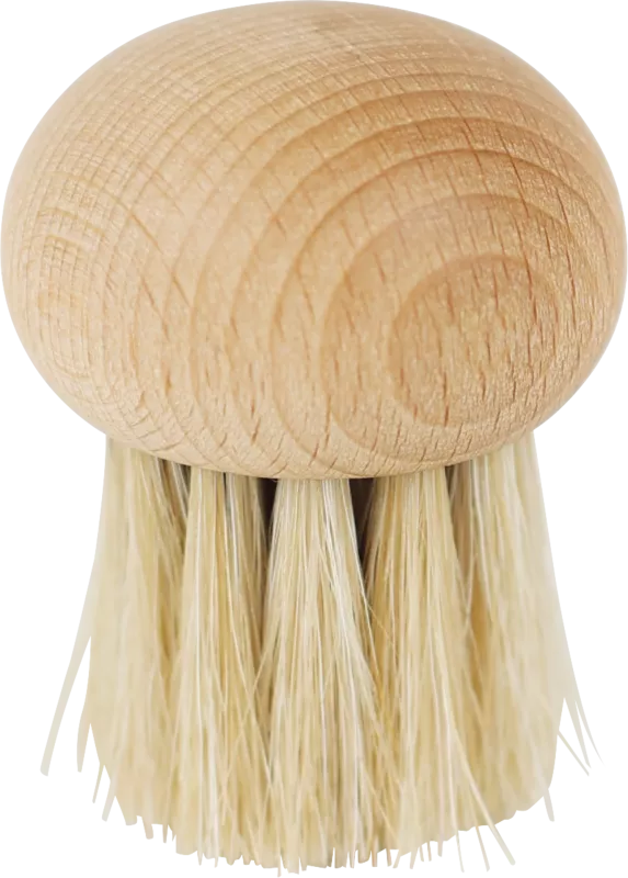 Mushroom Brush - Round