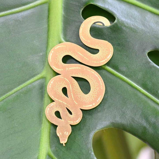 Plant Animals - Snake