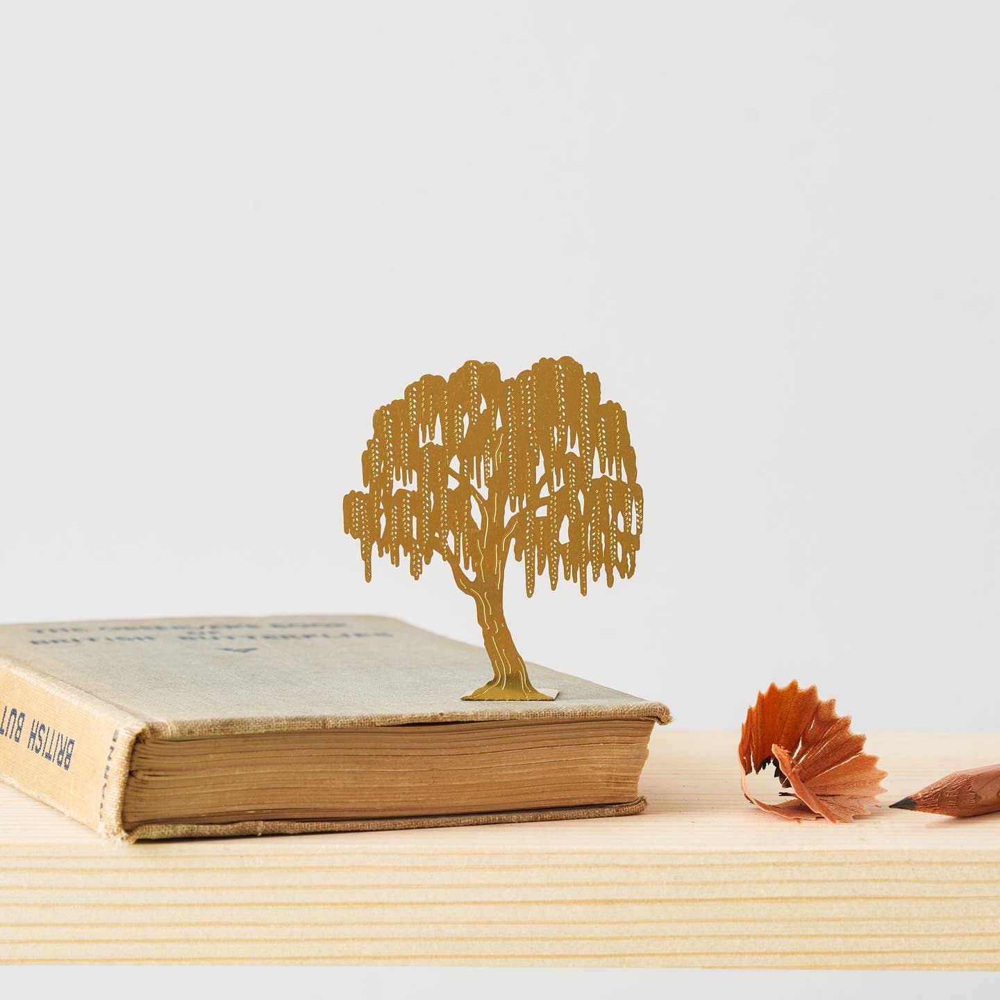 Tiny Tree - WIllow