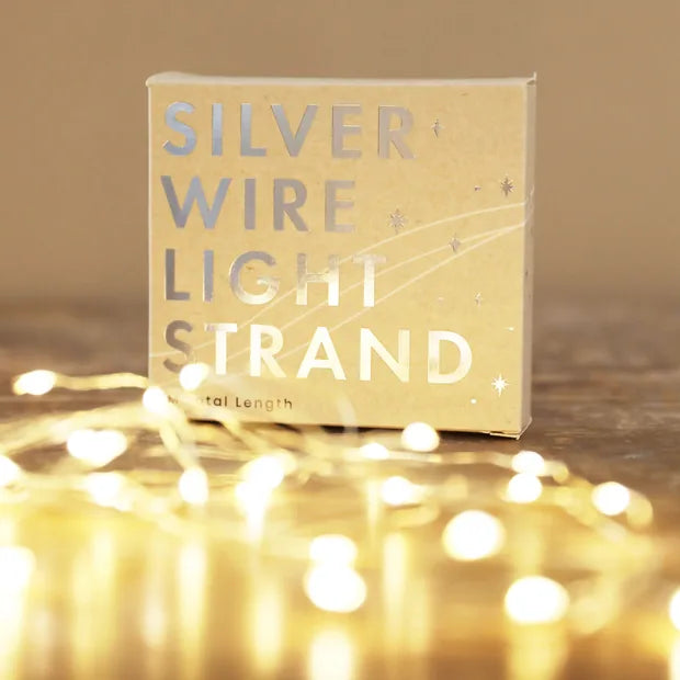 30 LED Silver Wire String Lights