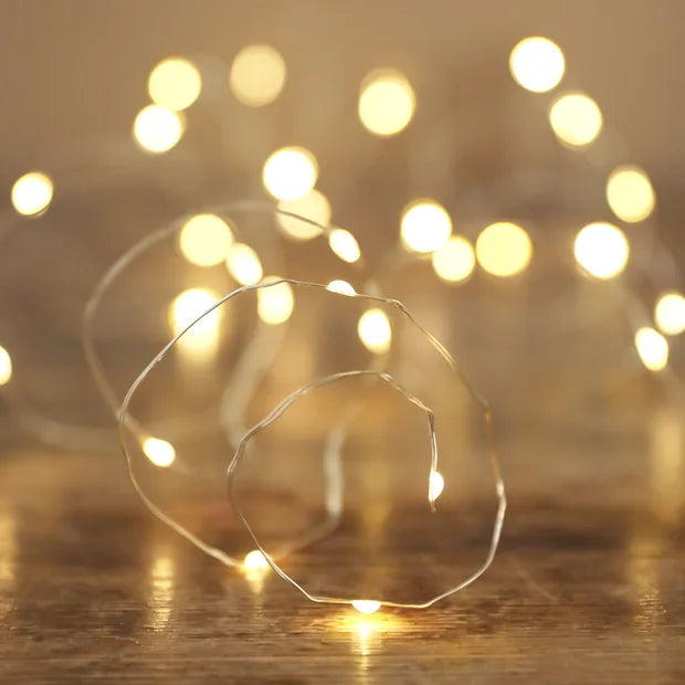 30 LED Silver Wire String Lights