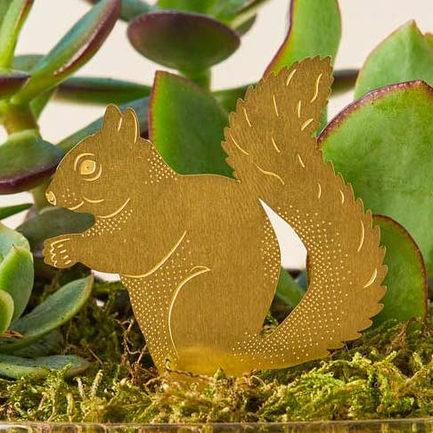 Plant Animals - Squirrel