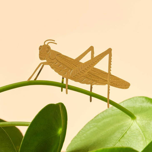 Plant animal Grasshopper