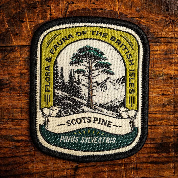 Scots Pine Patch