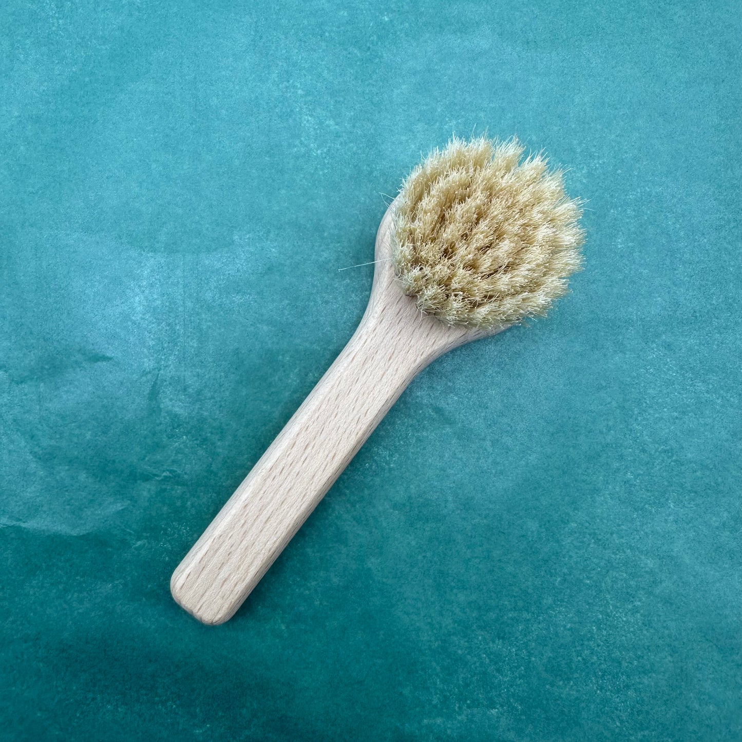 Mushroom Brush