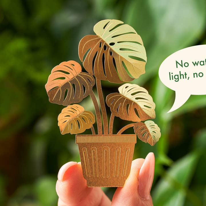 Tiny Plants - Monstera