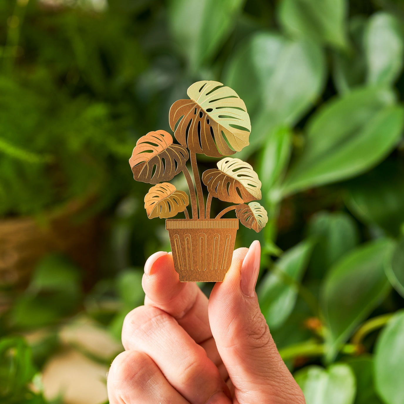 Tiny Plants - Monstera