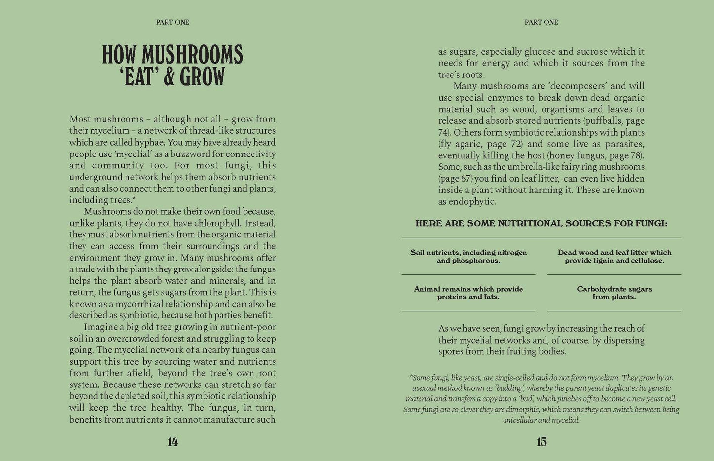 Mushrooms: A Guide for the Curious