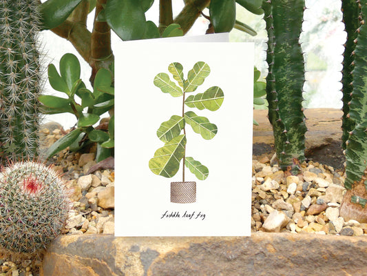 Fiddle Leaf Fig Card