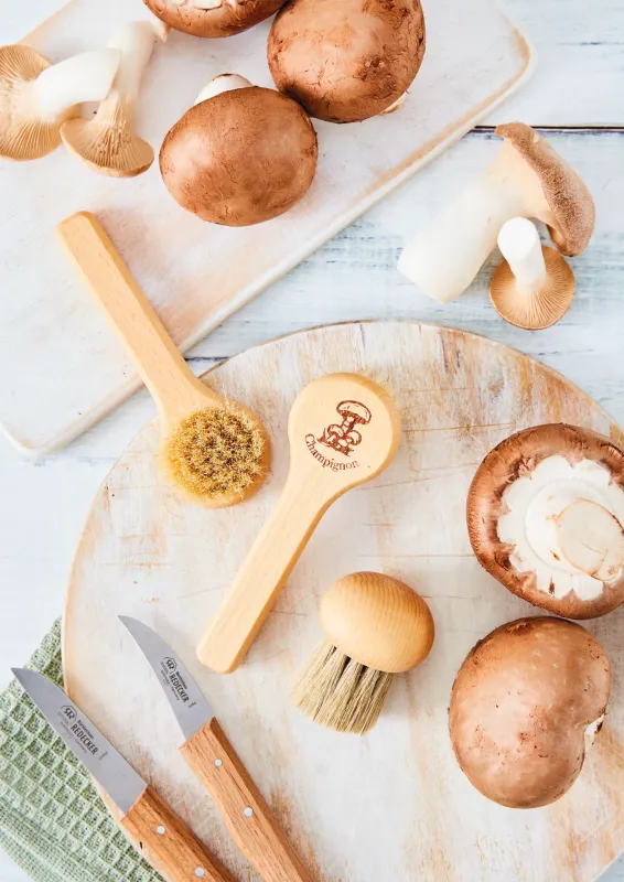 Mushroom Brush - Round