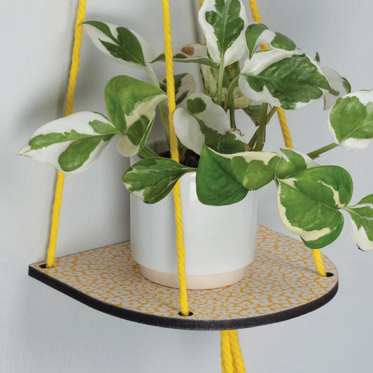 Hanging Plant Shelf (Small) Forget Me Not Yellow