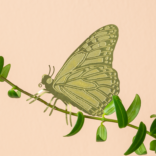 Plant Animals - Butterfly