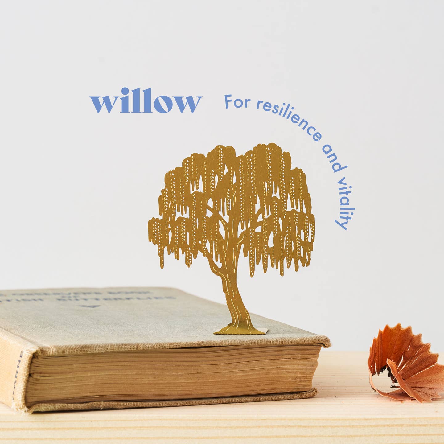 Tiny Tree - WIllow