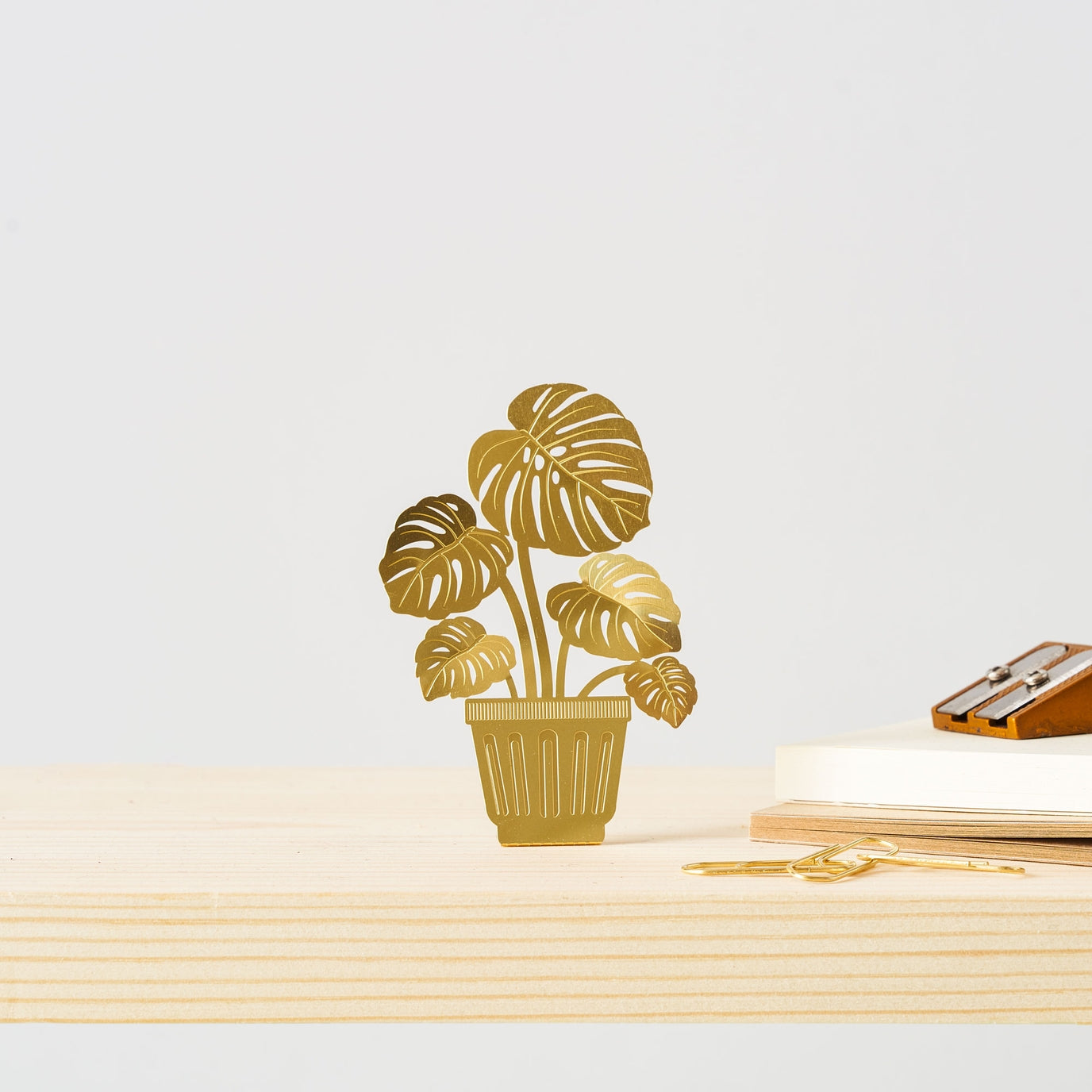 Tiny Plants - Monstera