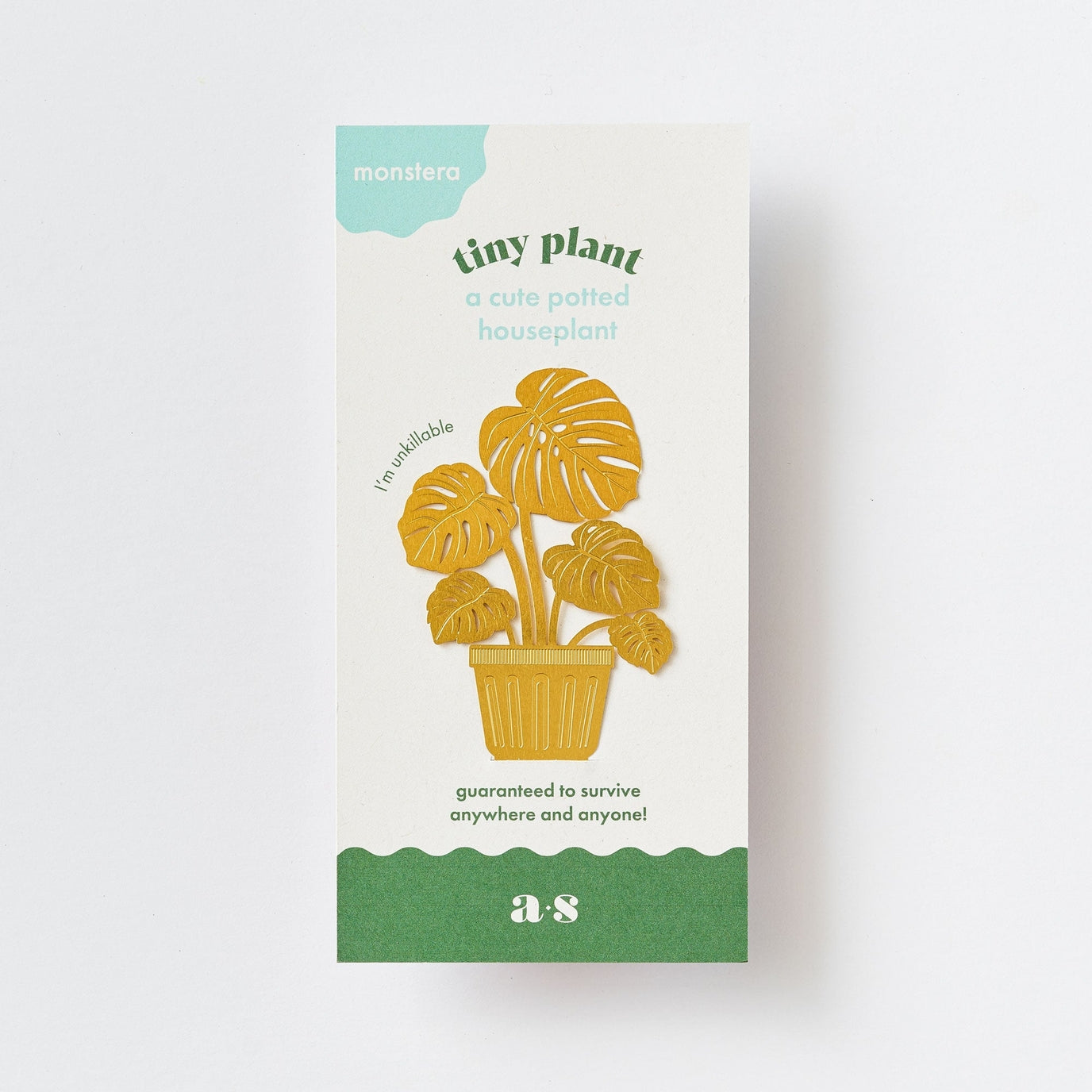 Tiny Plants - Monstera