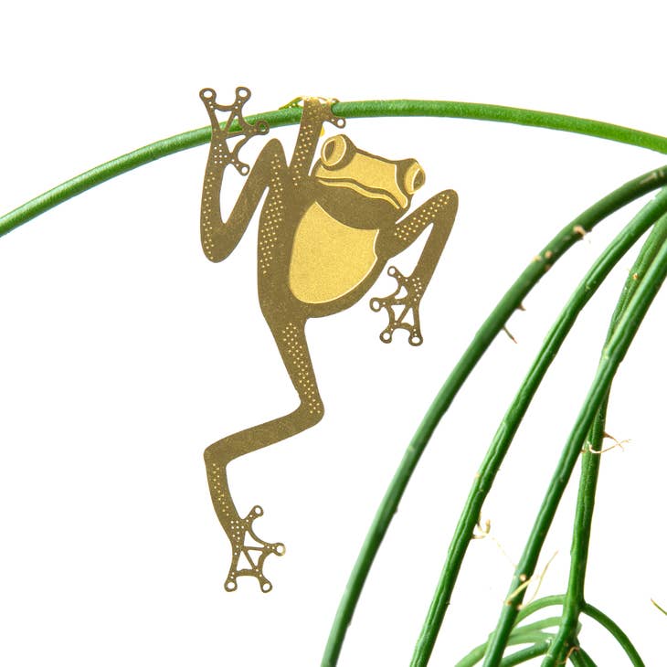 Plant animal tree frog