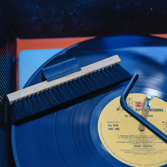 Phonographic Record Brush